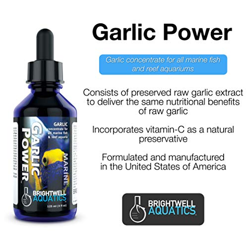 Brightwell Aquatics Garlic Energy - 30 ml Liquid Garlic Focus for Marine Aquariums