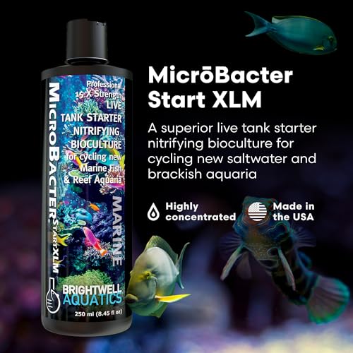 Brightwell Aquatics MicroBacter Begin XLM - Concentrated Nitrifying Micro organism for Saltwater Aquariums - Speedy Fish Tank Starter to Improve Microbe Ranges & Water Filtration -...