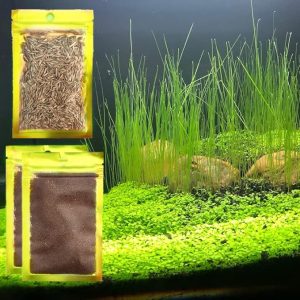 Combo of three Aquarium Plant Seeds – Pure Freshwater Grass for Fish Tank Terrarium Dwarf Carpet, Common Substrate, No Plastics 11aab