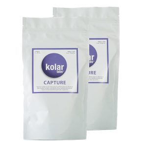 Kolar Labs Premium Seize Resin Filtration Media – Best for Saltwater and Freshwater Fish, Turtles, Marine Crops, Aquariums and Ponds, Tank Filtration Techniques, Pet Provides,…