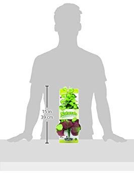 Marina Naturals Massive Pennywort Silk Plant Ornament for Aquariums, Mannequin PP103