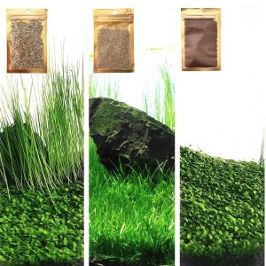 Set of three Aquarium Plant Seed Pack – Pure Non-Plastic Silk Vegetation, Suitable with All Substrates (0.36oz Tiny + 0.36oz Lengthy + 0.36oz Quick) 28ABC