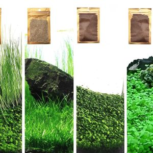 Set of 4 Aquarium Plant Seeds – No Synthetic Plastic, Reside Grass for Fish Tanks, Appropriate for All Substrates (0.36oz Tiny, 0.36oz Lengthy, 0.36oz Quick, 0.36oz Large Twin) ZQV-005